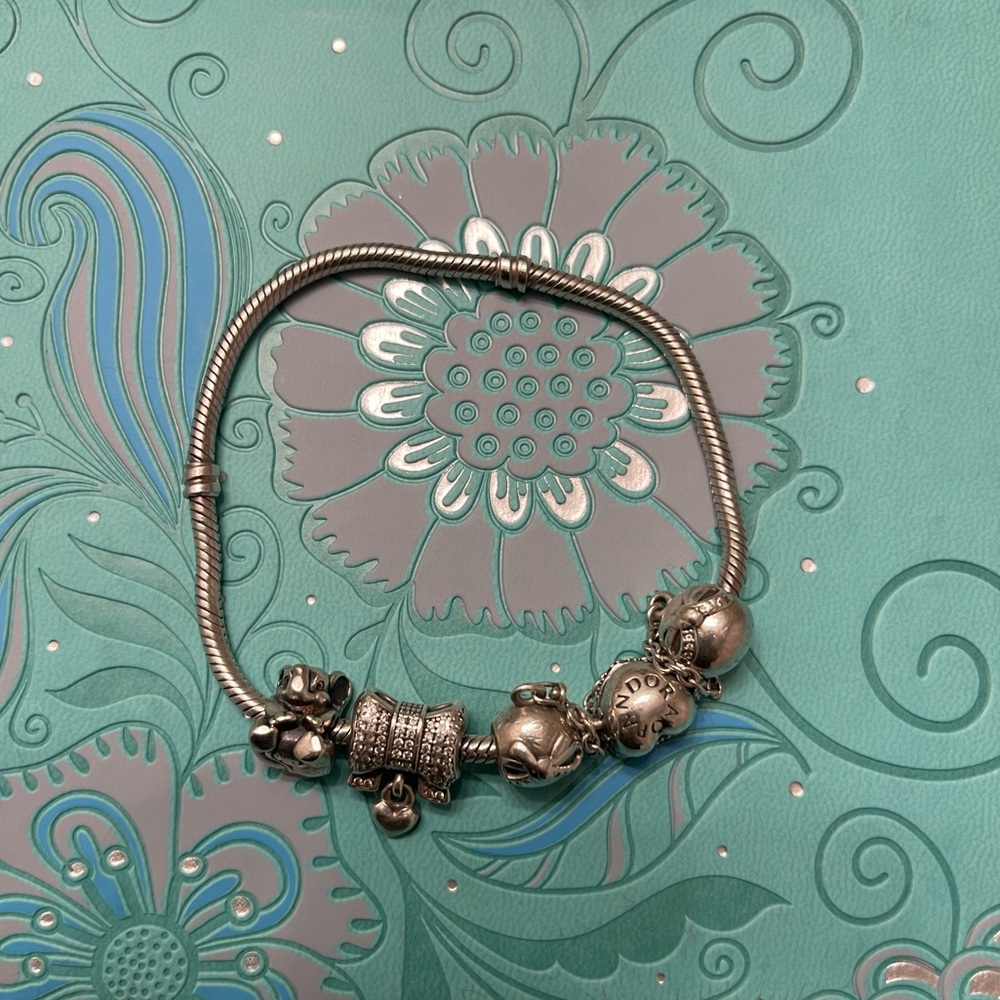 Pandora Bracelet